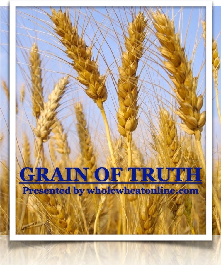 Grain of Truth Pic 2