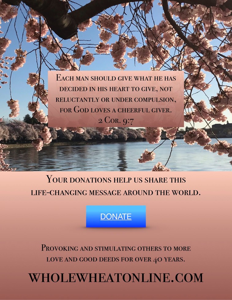 Spring Donations