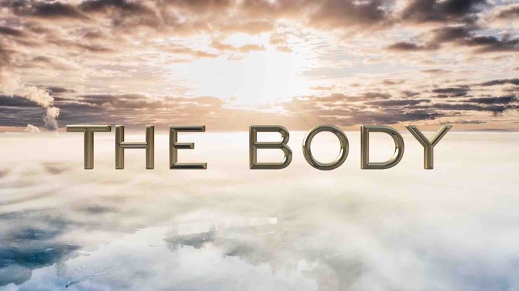 The Body Series