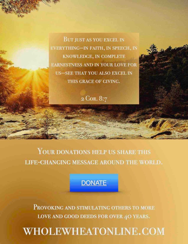 Donation Poster Spring 2025