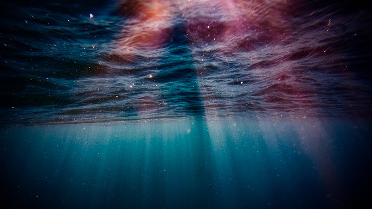 rays under water