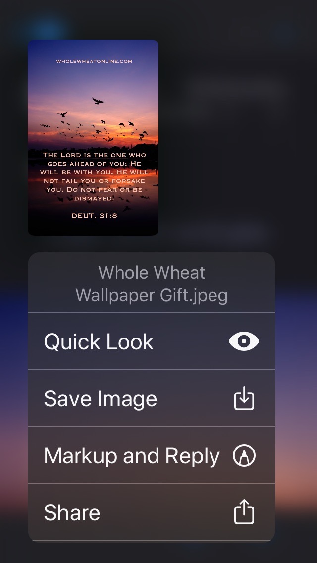 Save Whole Wheat Wallpaper