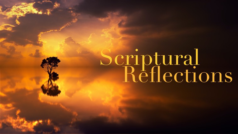 Scriptural Reflections