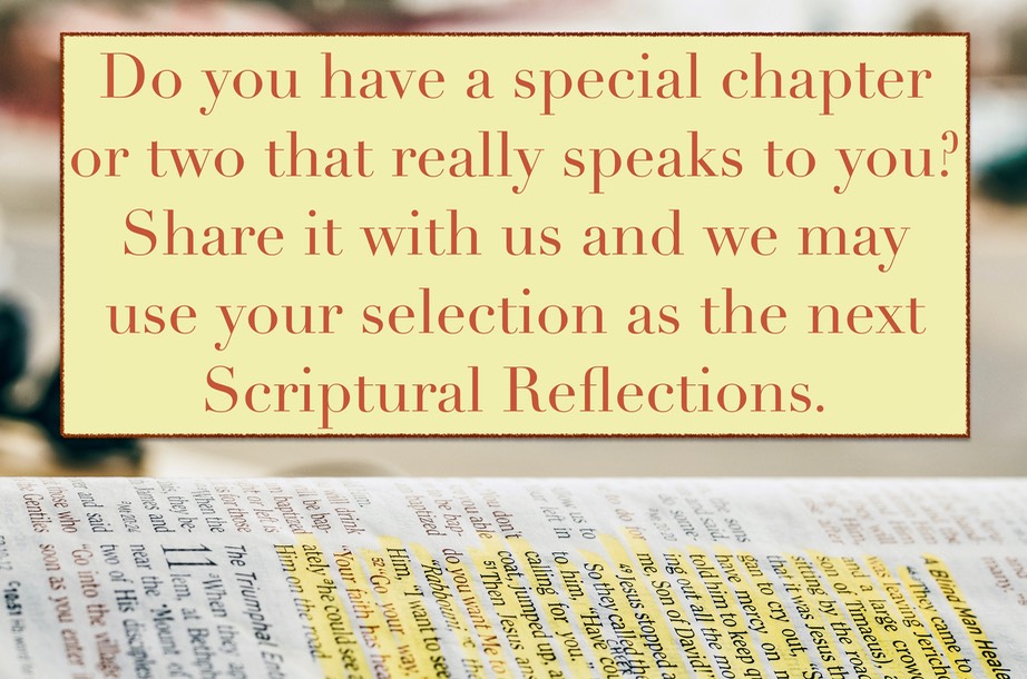 Scriptural Reflections Suggestions