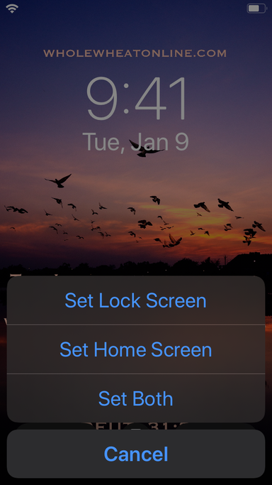 Set as Lock Screen
