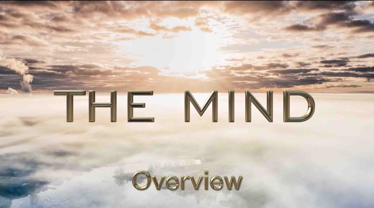 The Mind - Overview