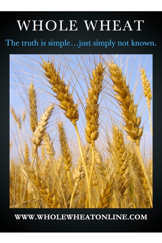 Whole Wheat BASIC Poster