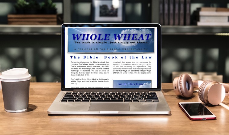 Whole Wheat Computer